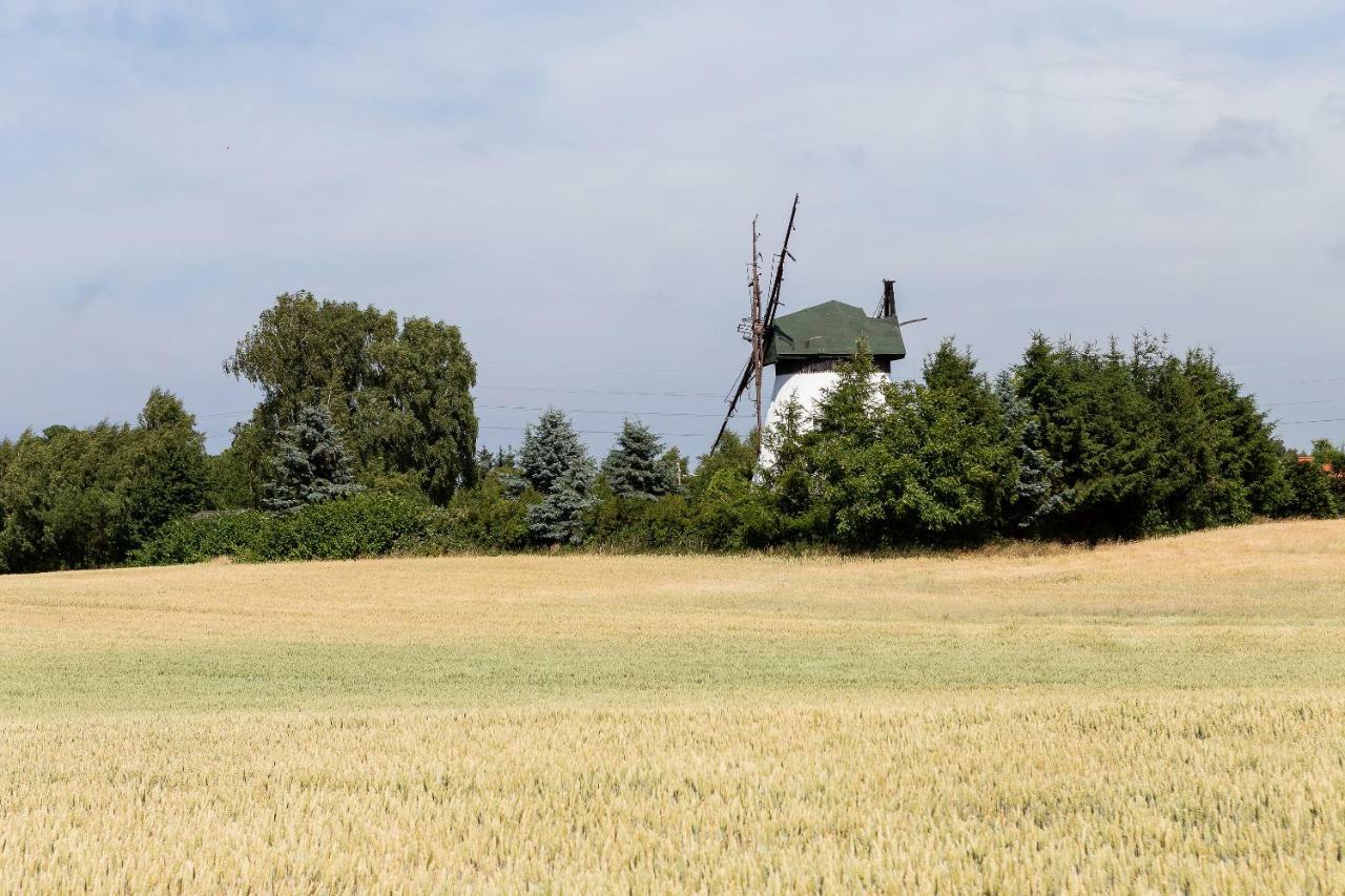 Windmill Vacation Home In Ledzin Near Baltic Sea Niechorze Ngoại thất bức ảnh